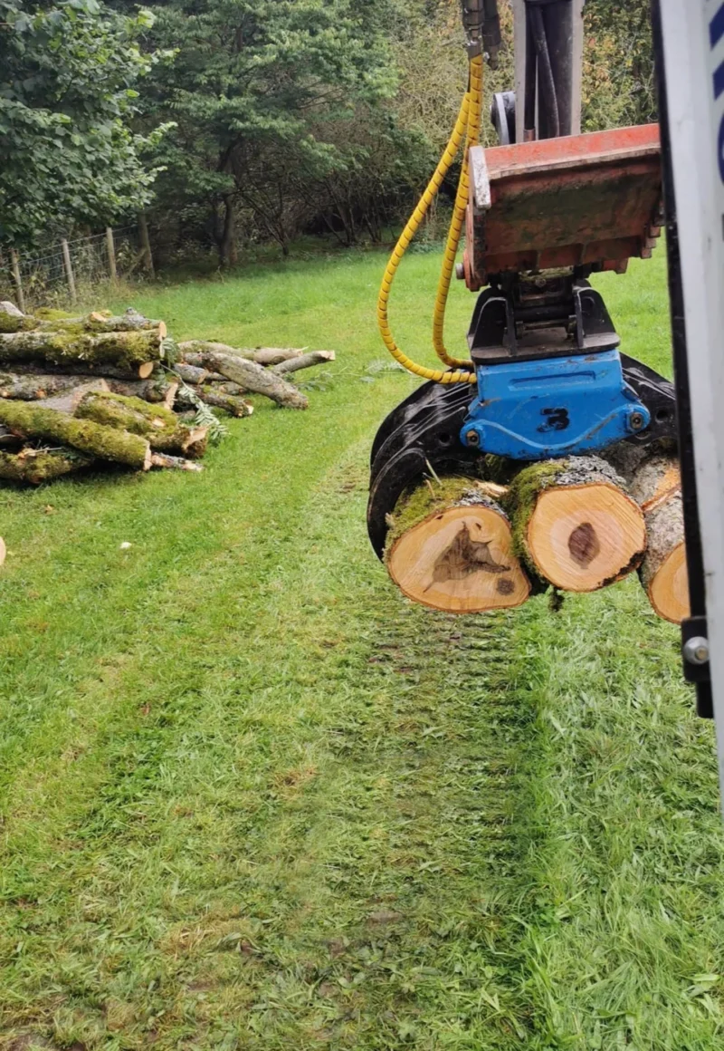 BC120 Excavator Forestry Grab - 2-3 Tonne - Image 3